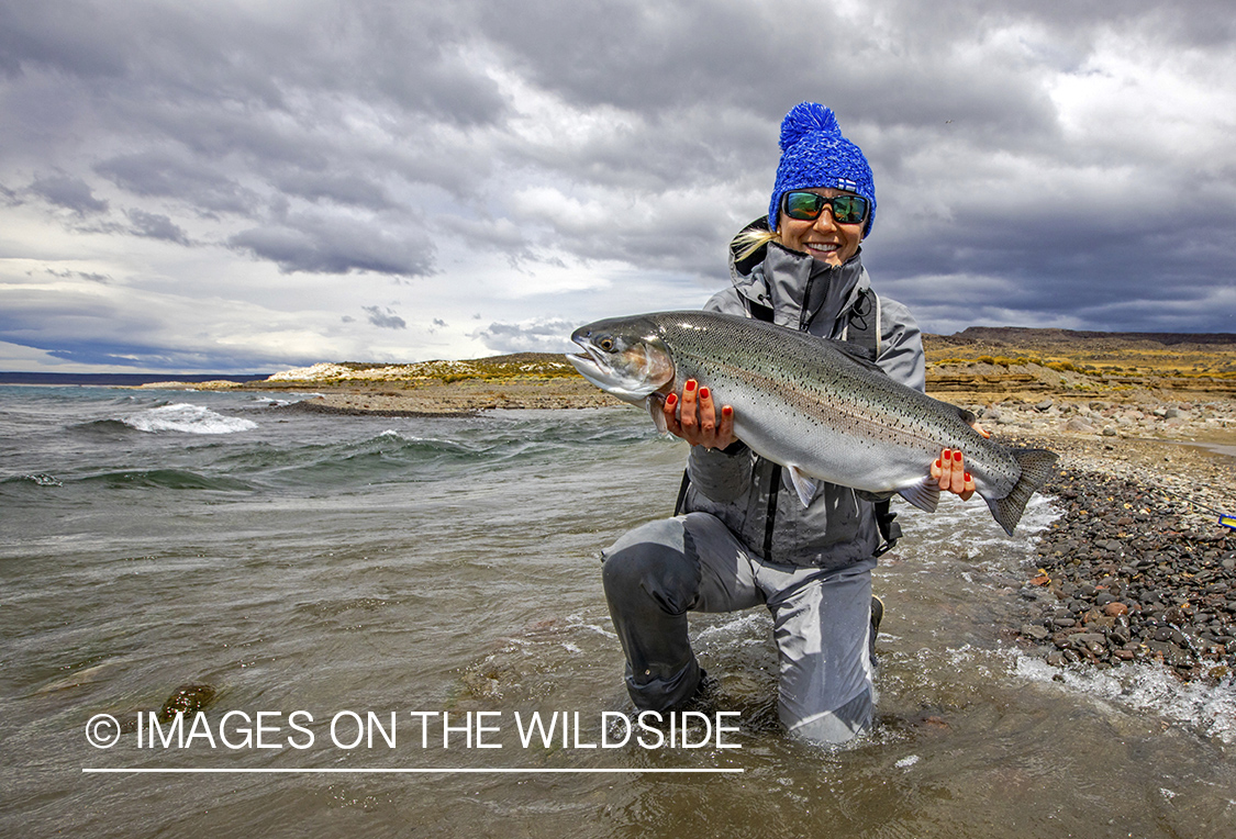 Flyfisherman with large rainbow trout at Jurassic Lake, Argentina.