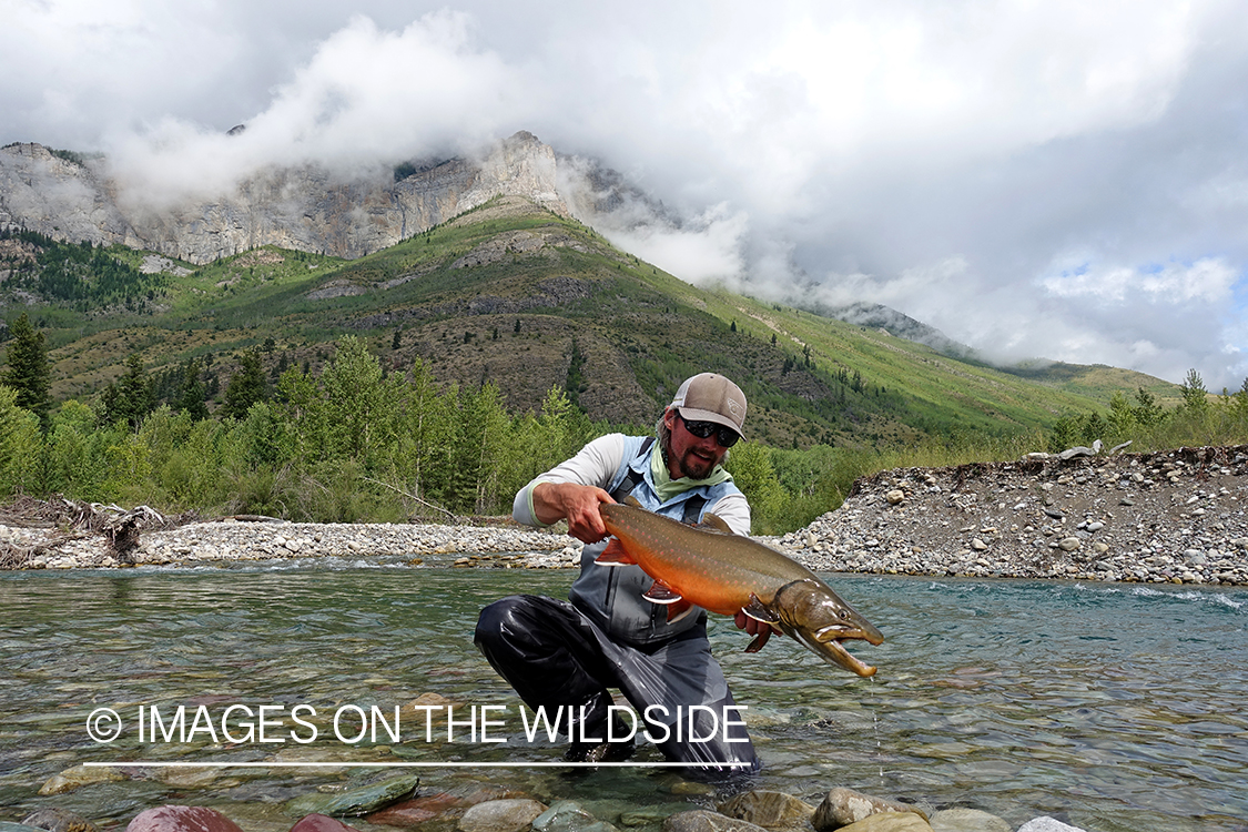 Flyfisherman with bull trout.