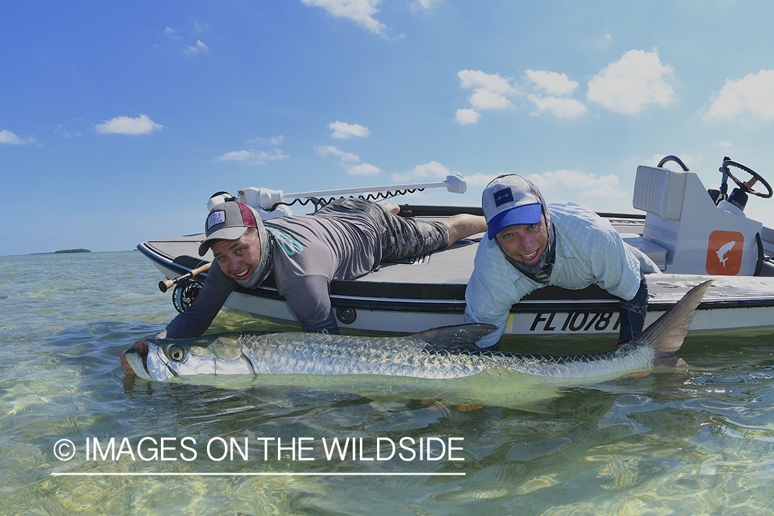 Flyfishermen with tarpon.