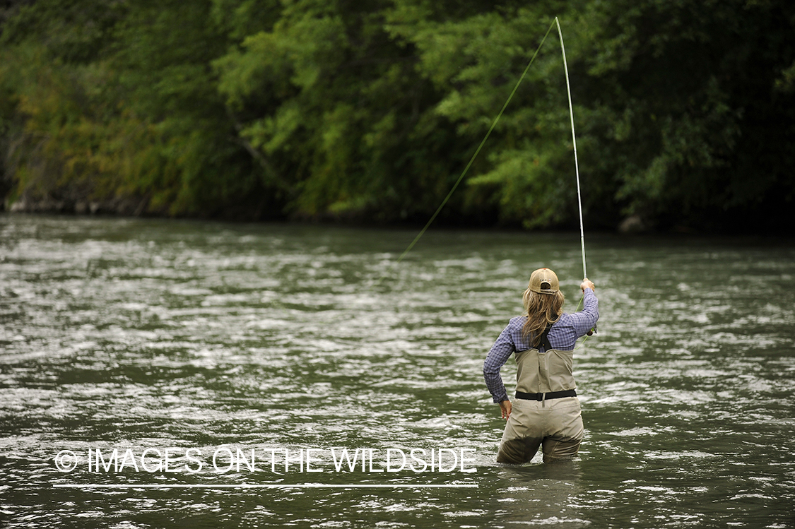 Woman flyfisher casting on river.