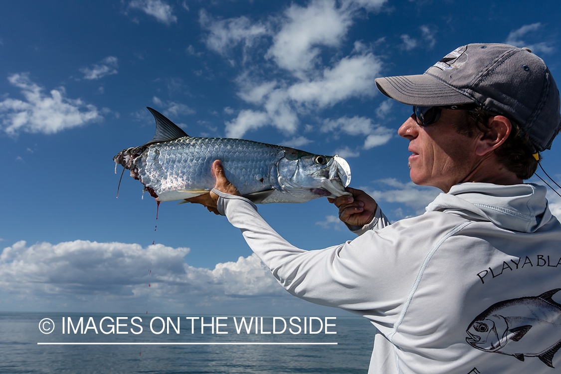 Flyfisherman with half eaten tarpon.