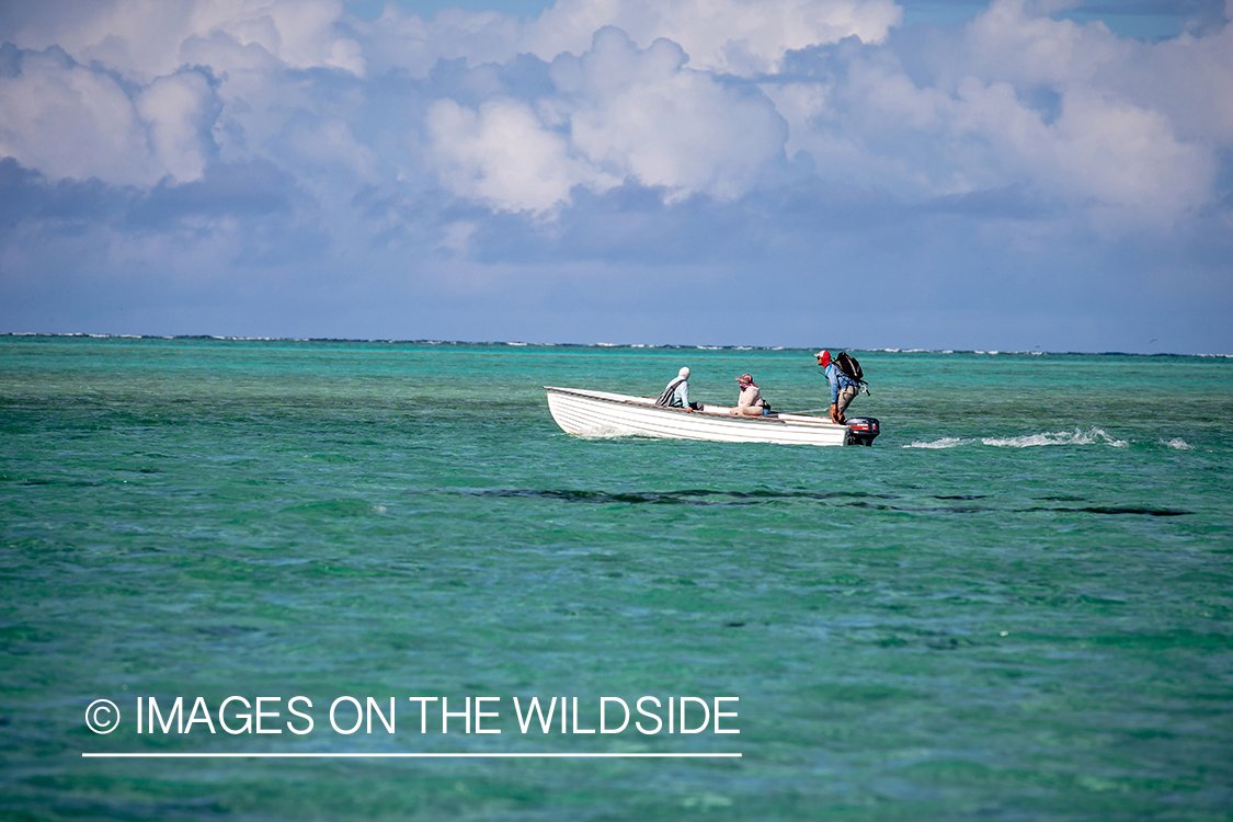 Flyfisherman in boats on St. Brandon's Atoll flats, Indian Ocean.