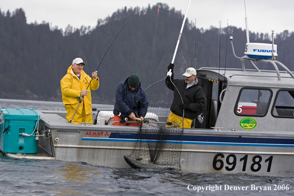 Fisherman landing a salmon.  