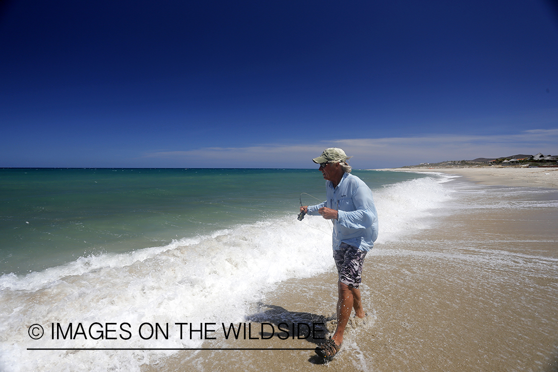 Flyfisherman fishing for roosterfish on beach.