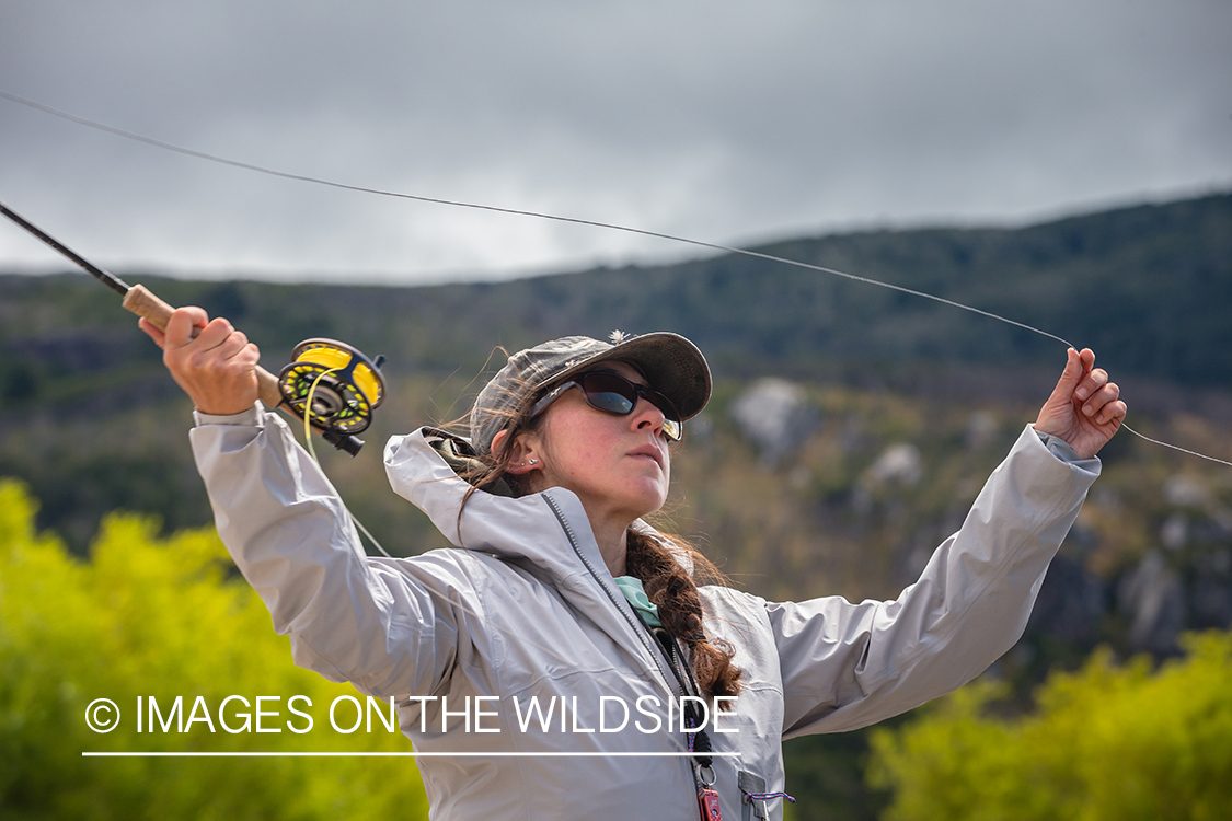 Woman fly fishing guide(Marcela Appelhanz) on stream.