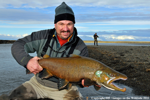 Flyfisherman with large Brown trout. 