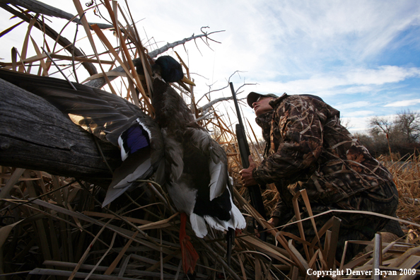 Waterfowl Hunter with Duck