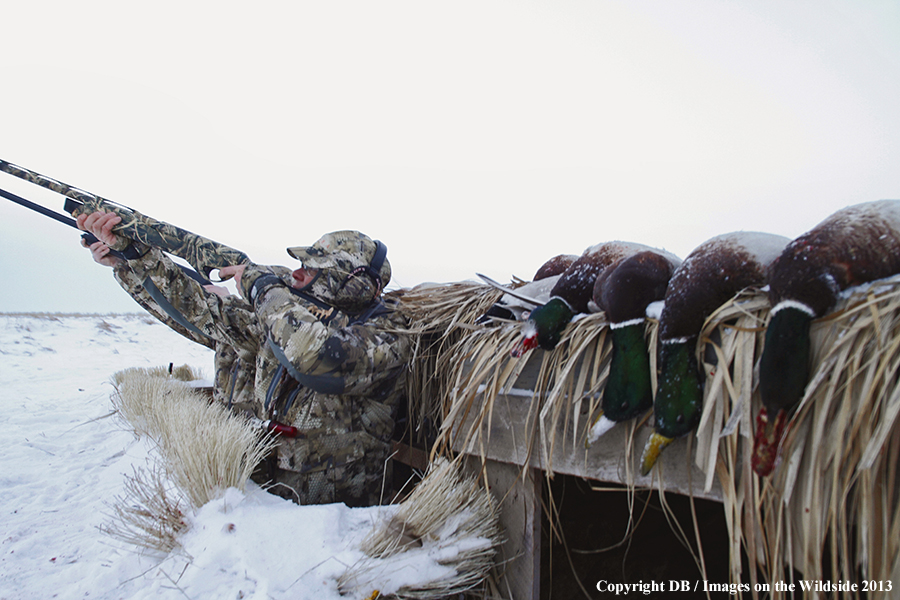 Waterfowl hunters in blind in field.