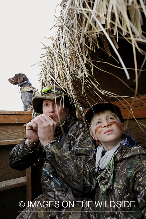 Father and son waterfowl hunters calling waterfowl.