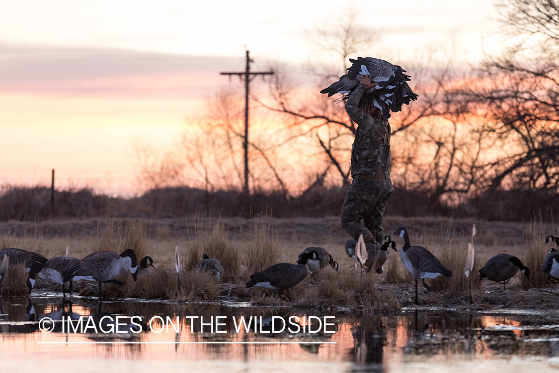 Waterfowl hunting