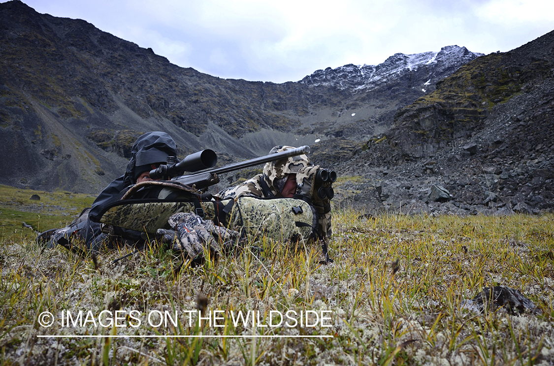 Stone sheep and Mountain goat hunting.