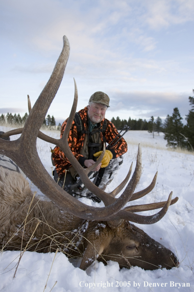 Elk hunter with downed elk.