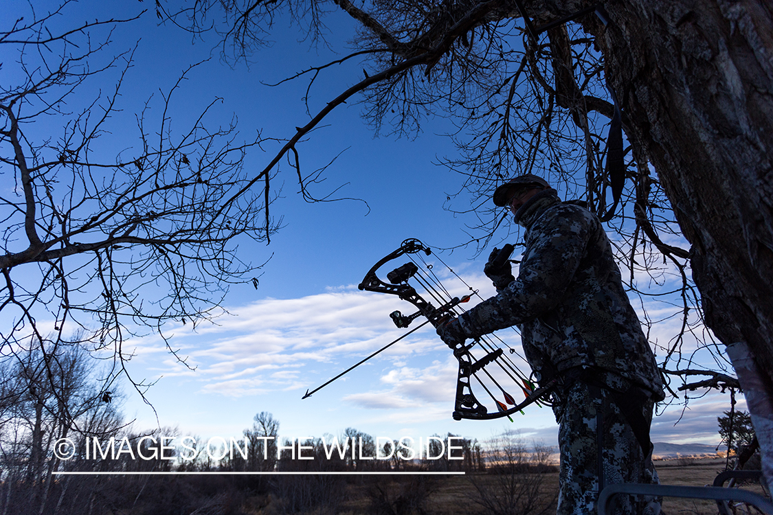 Bow hunter in tree stand glassing for white-tailed deer.