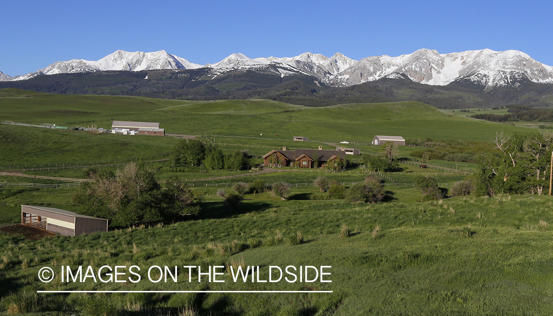 Montana ranch near the Bridger Mountains.