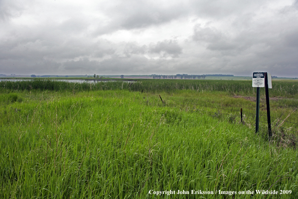 Signs posted on wetlands