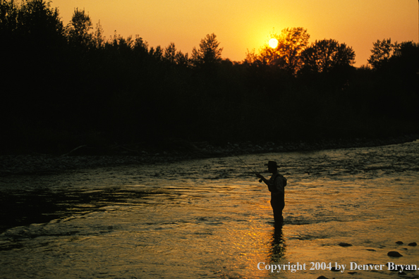 Freshwater Flyfisherman in river fishing.