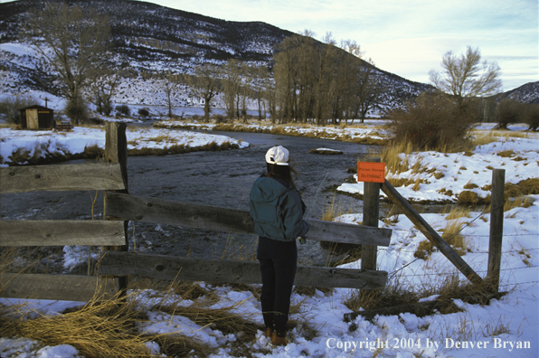 Woman flyfisher looking at river with 'no fishing' sign.