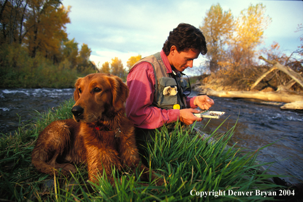 Flyfisherman choosing flies with Golden retriver.