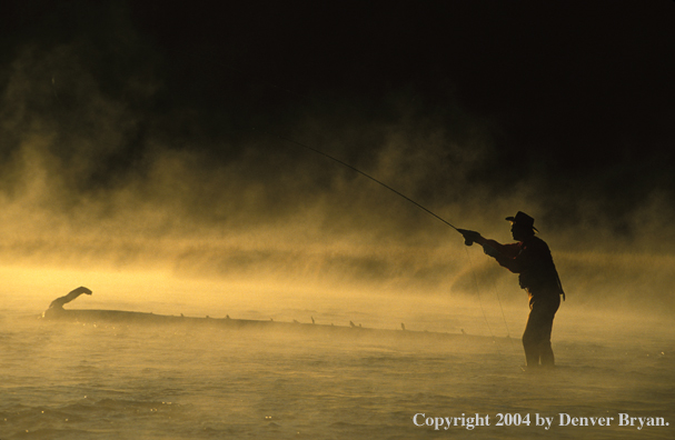 Freshwater Flyfisherman in river fishing.