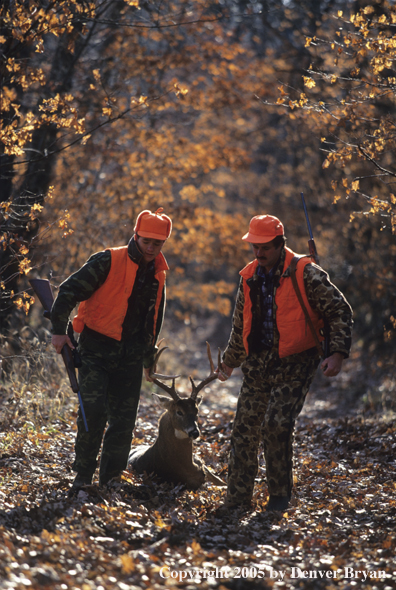 Father and son hunters dragging whitetail deer through the woods.