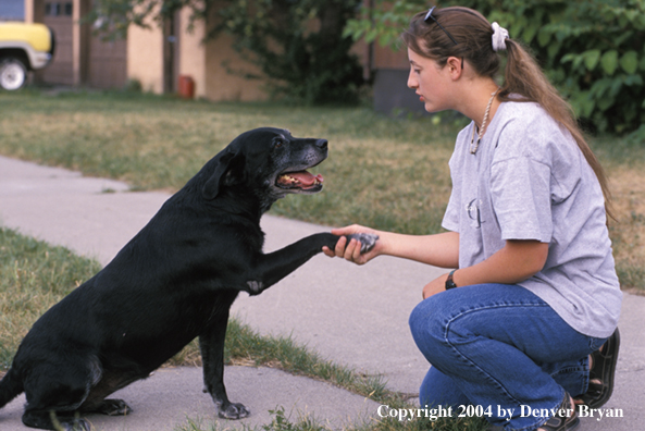 Woman with black Labrador Retriever