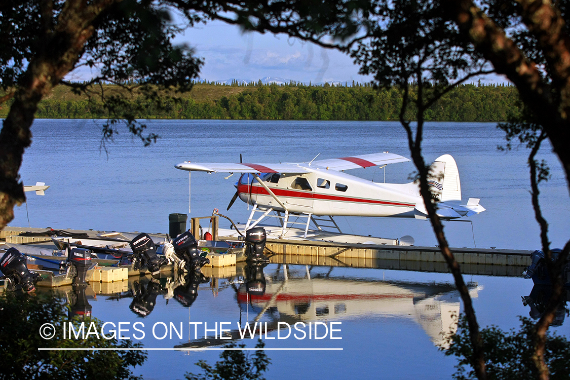 Float plane at dock.