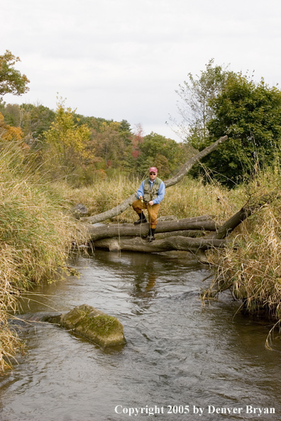 Flyfisherman fishing Pennsylvania spring creek.