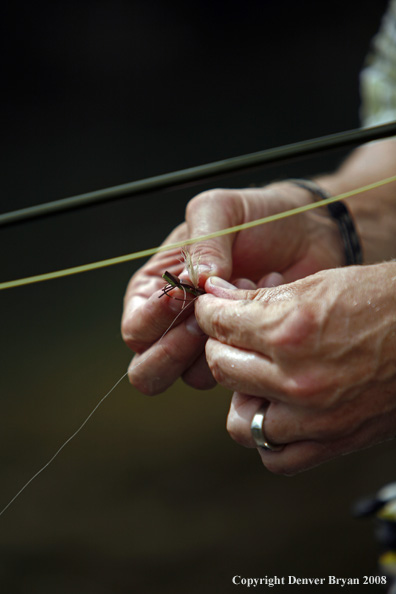 Flyfisherman tying fly 