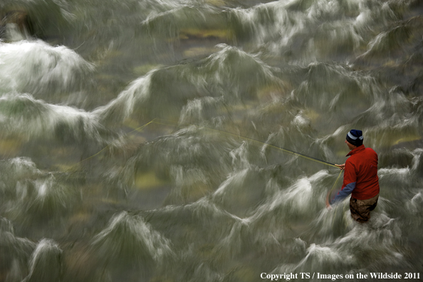 Fisherman in the Gallatin River. 