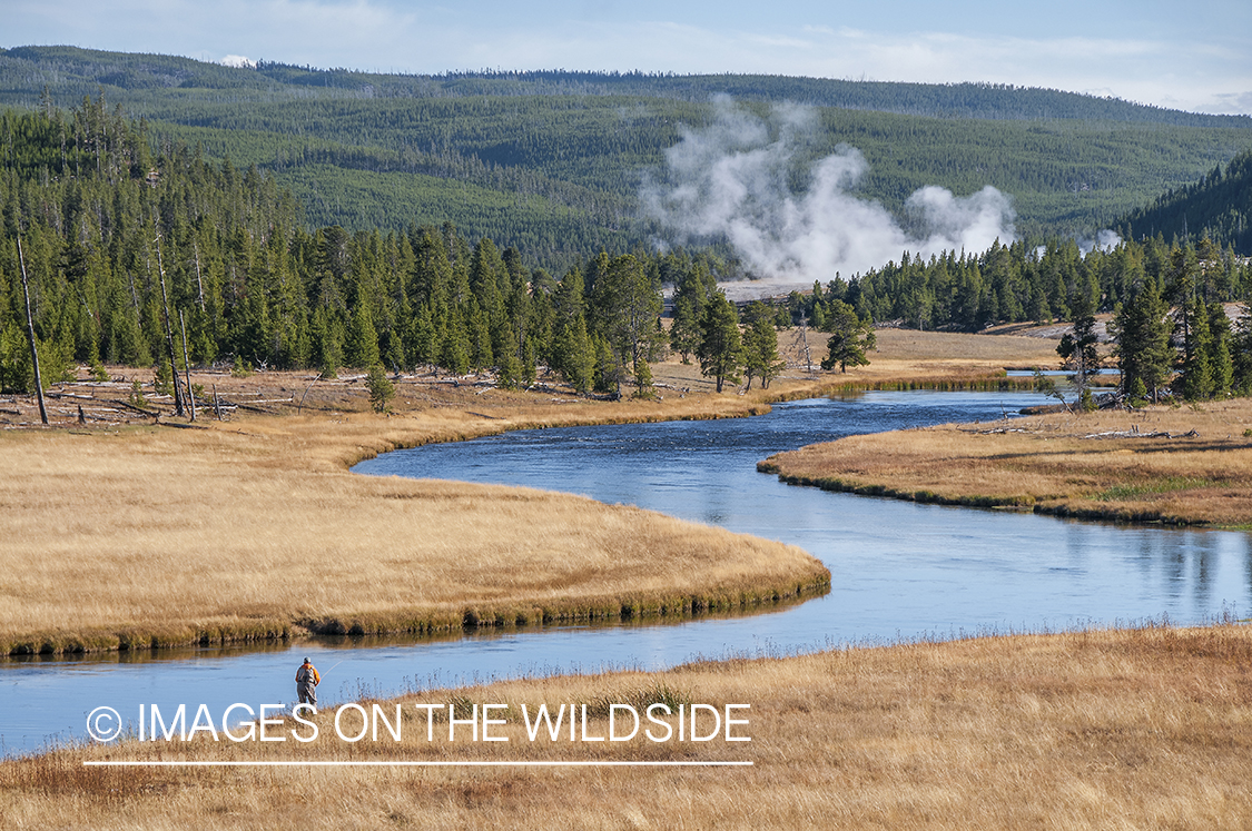 Flyfisherman on banks of Firehole River in Yellowstone.