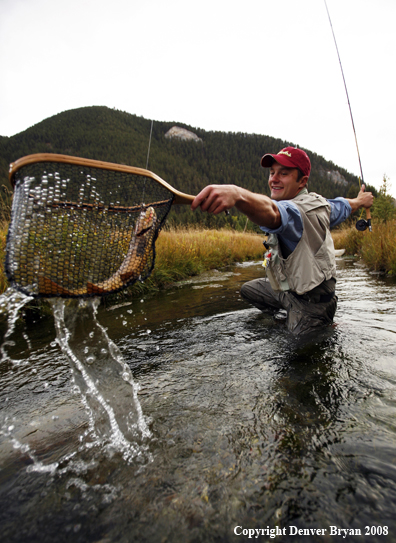 Flyfisherman Landing Cutthroat Trout