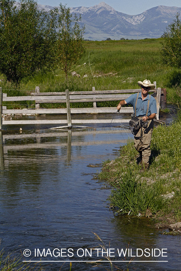 Flyfisherman flyfishing small stream in Montana.