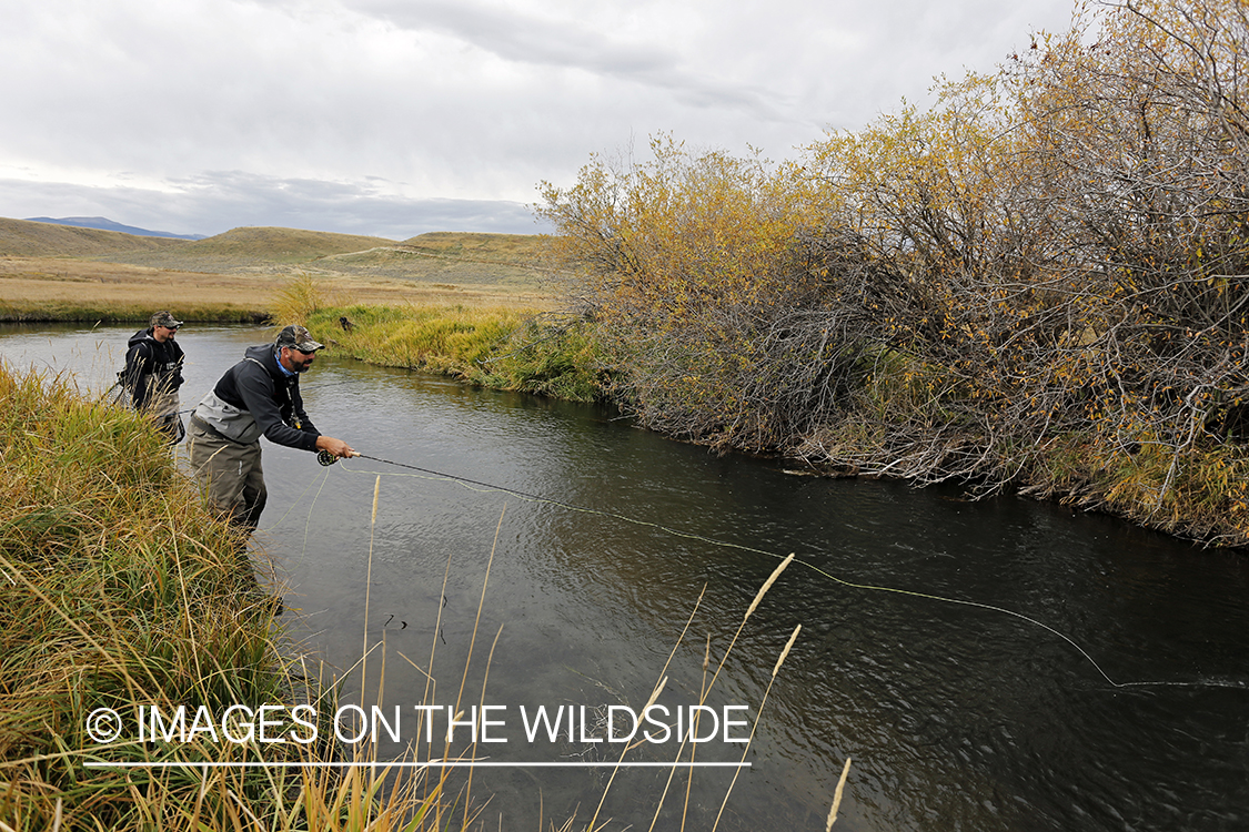 Flyfishermen casting on river. 