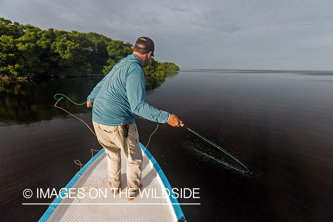 Flyfisherman landing tarpon.