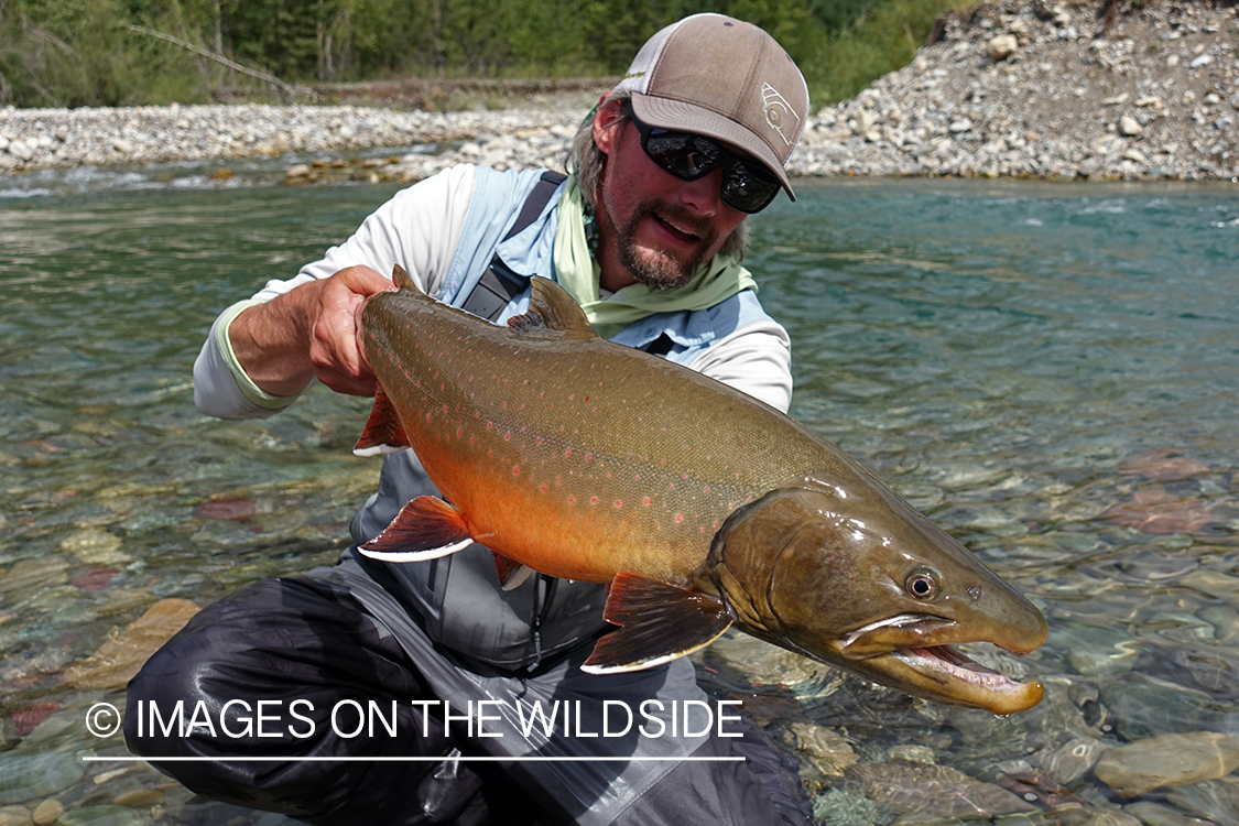 Flyfisherman with bull trout.