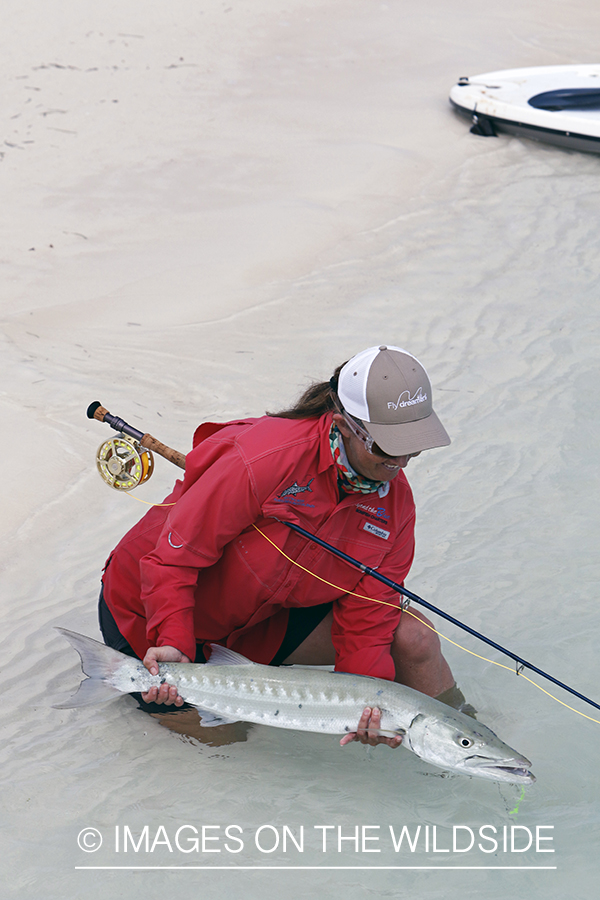 Saltwater flyfishing woman releasing barracuda.