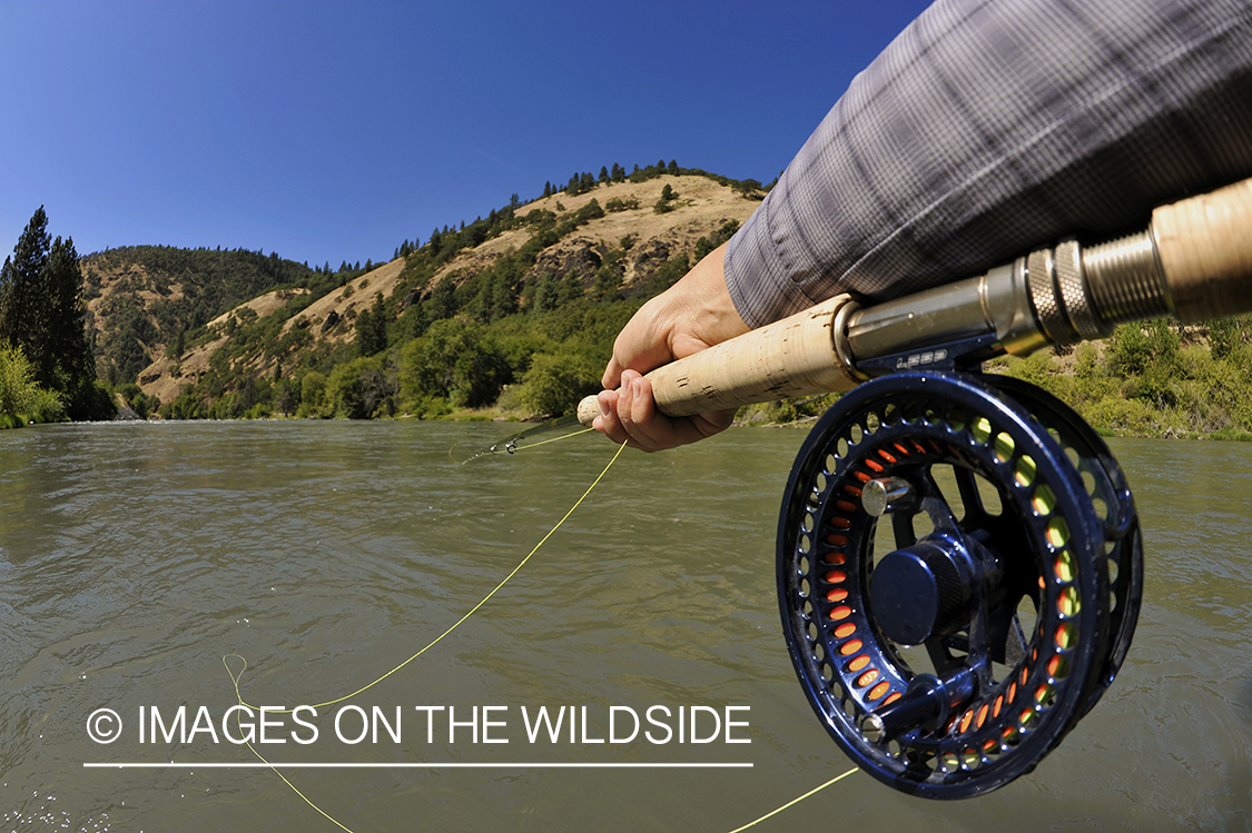 Flyfisher on casting river.