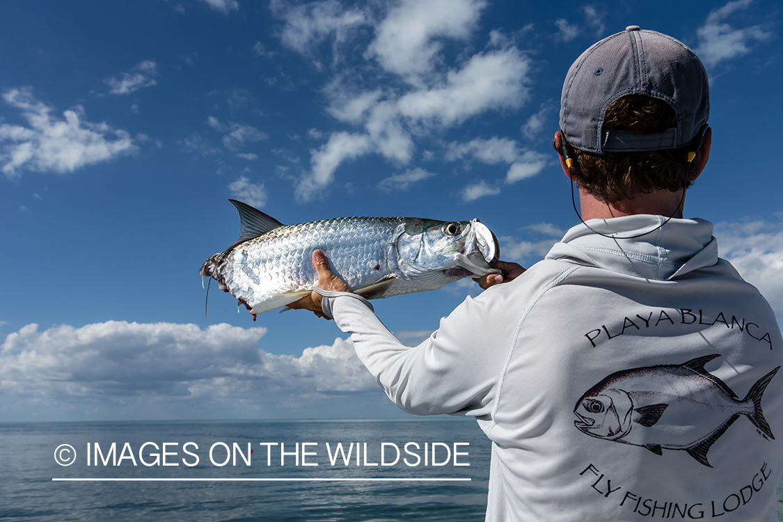 Flyfisherman with half eaten tarpon.