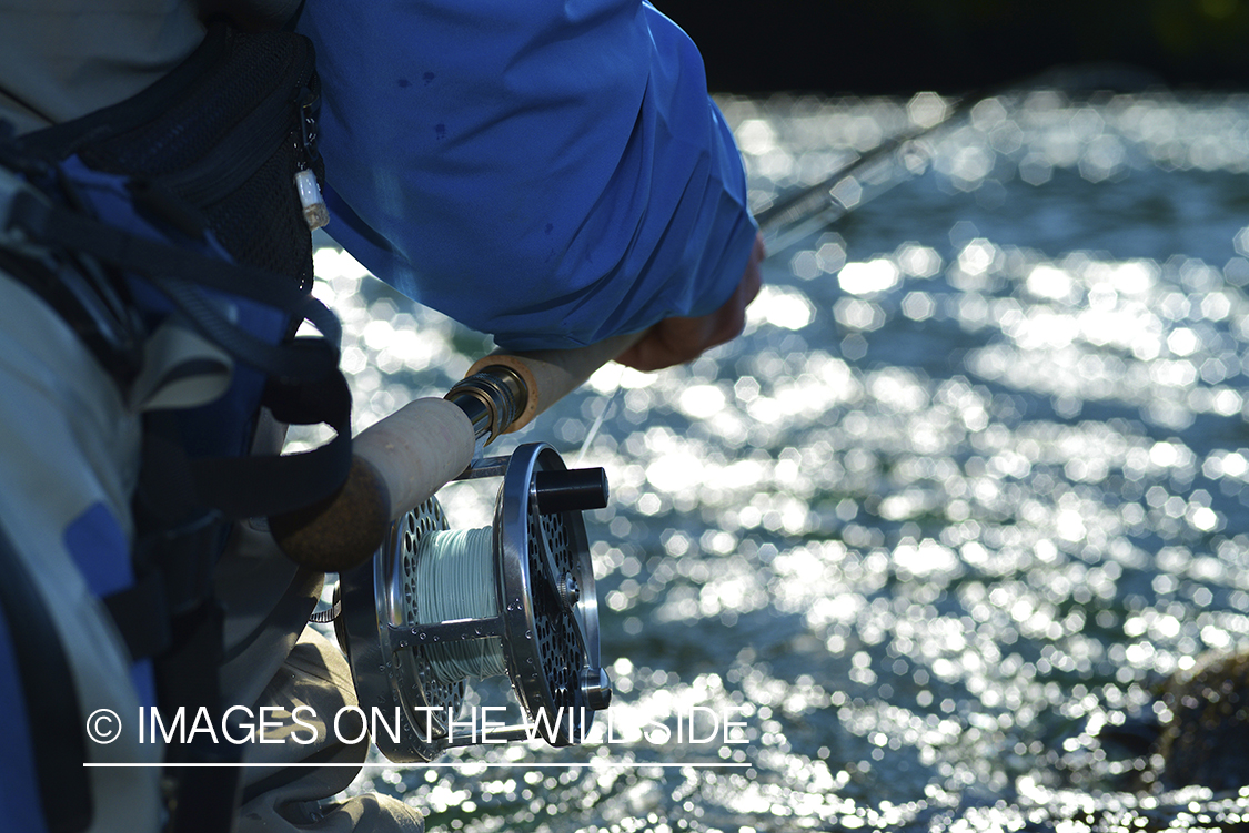 Closeup of flyfisherman with rod and reel.