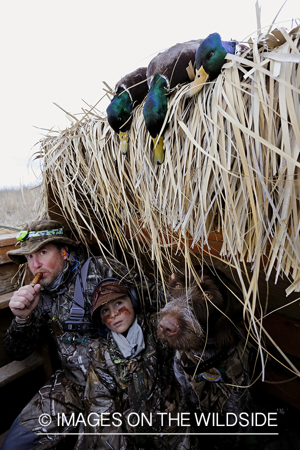 Father and son waterfowl hunters calling waterfowl.