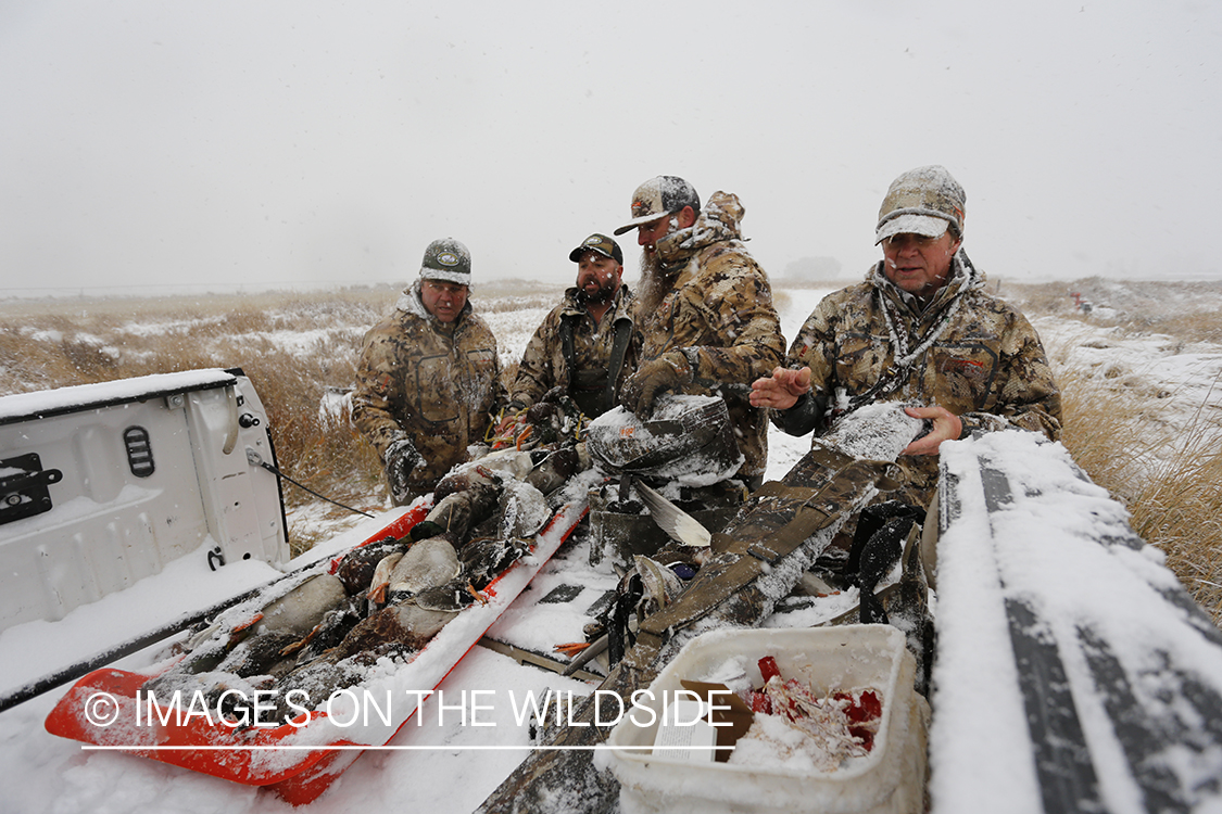 Duck hunters with bagged mallards in winter snow conditions.