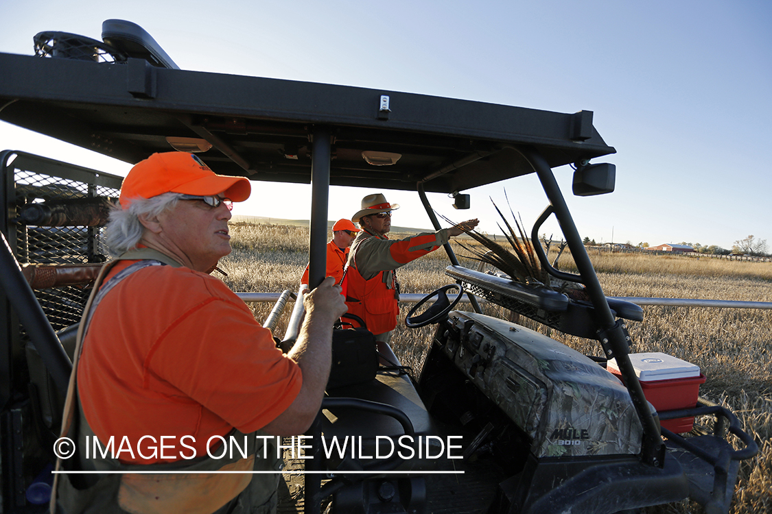 Upland game bird hunters with bagged pheasants in ATV.