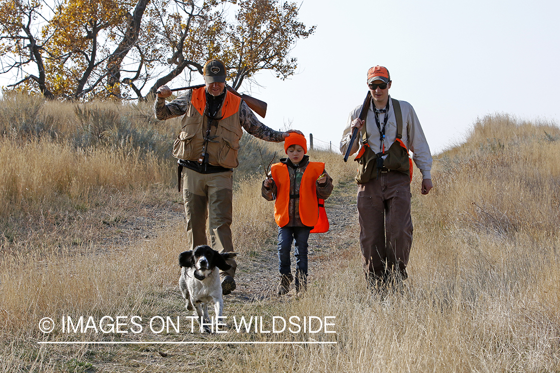 Father and sons hunting game bird.