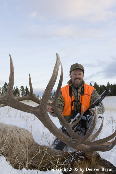 Elk hunter with downed elk.