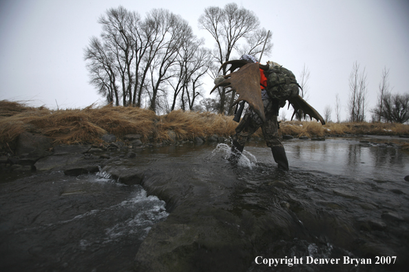 Moose hunter in field