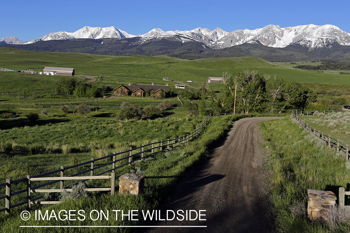 Montana ranch near the Bridger Mountains.