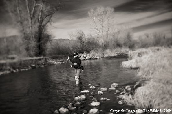 Flyfisherman on river.