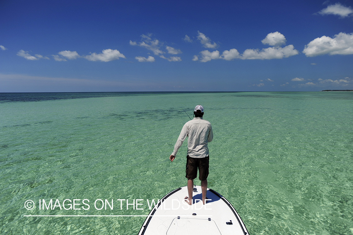 Saltwater flyfisherman casting on flats boat.