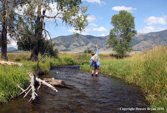 Flyfisherman landing rainbow trout