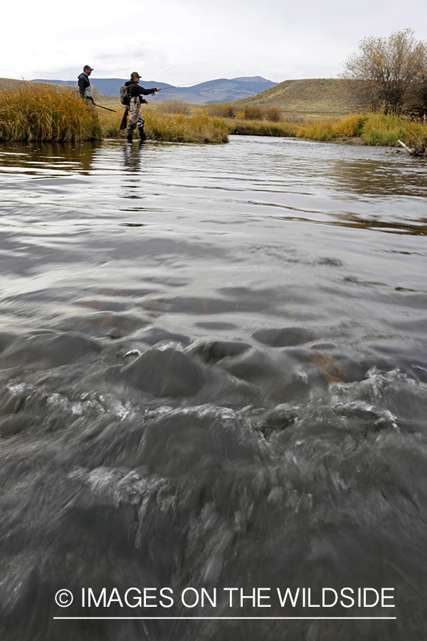 Flyfishermen casting on river. 